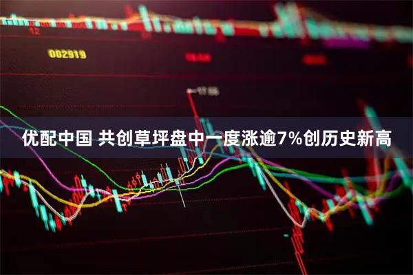 优配中国 共创草坪盘中一度涨逾7%创历史新高