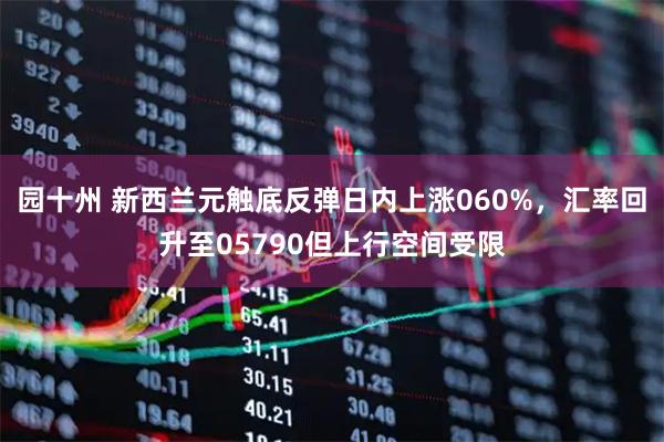 园十州 新西兰元触底反弹日内上涨060%，汇率回升至05790但上行空间受限